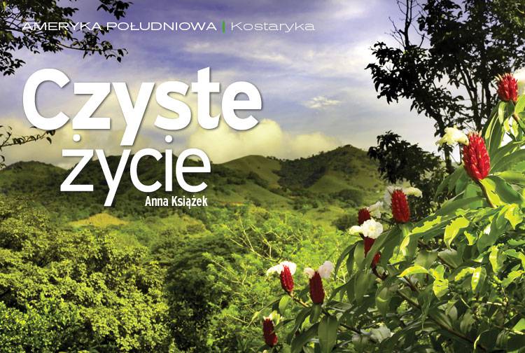 Losowy darmowy artykuł